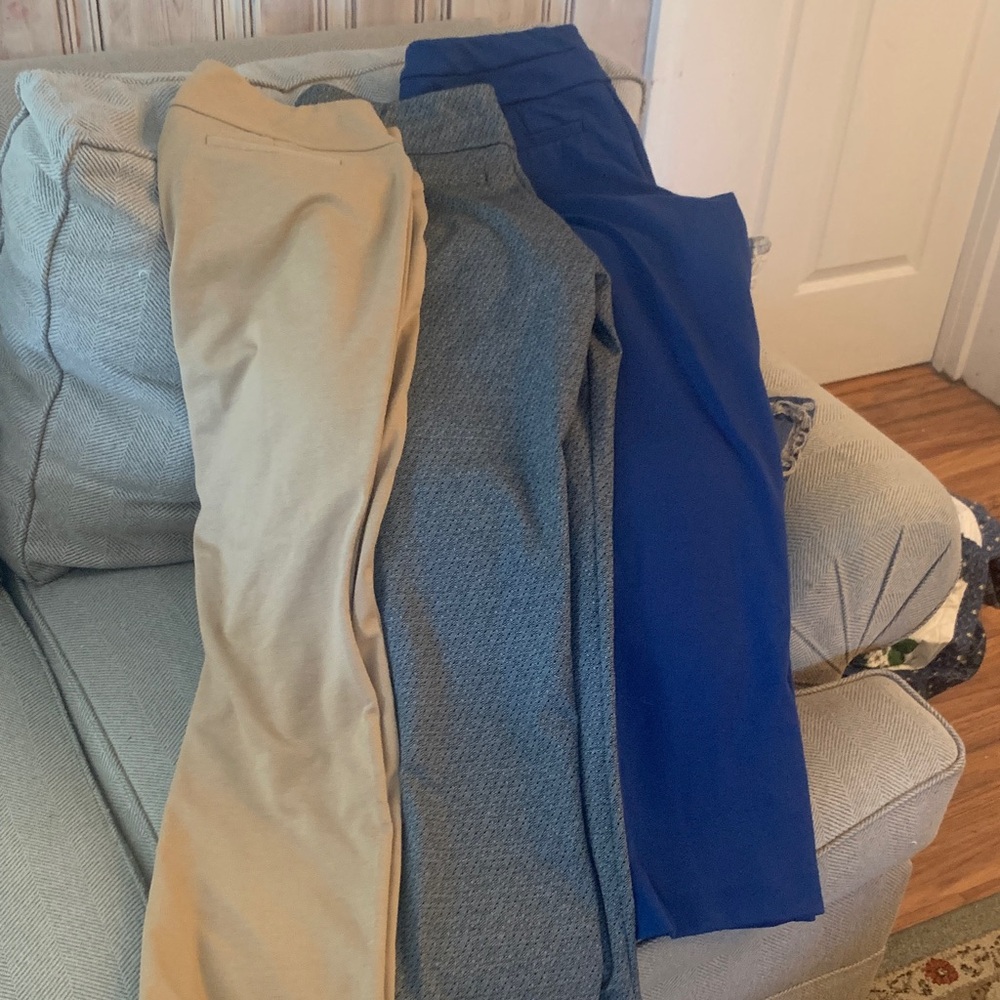 New York and Co pull on pants